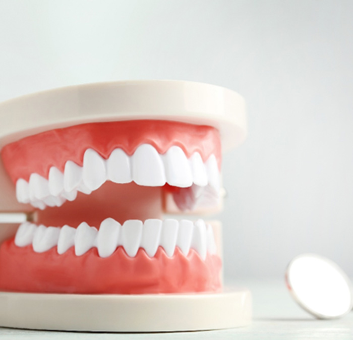 Dental mirror lying next to model of teeth